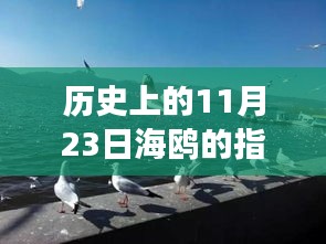 揭秘历史海鸥手表价格内幕，揭秘11月23日指导价与真实交易价格！