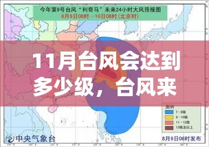 台风来袭，温馨守护家园与友情，11月预计台风等级揭秘