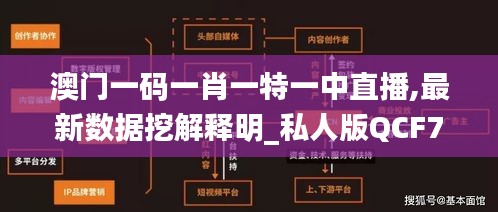 澳门一码一肖一特一中直播,最新数据挖解释明_私人版QCF7.55