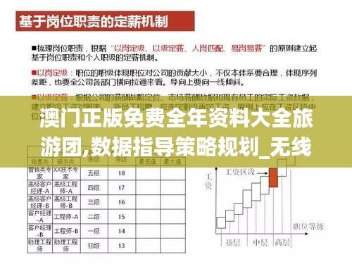 澳门正版免费全年资料大全旅游团,数据指导策略规划_无线版YZR7.7