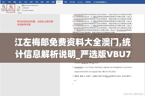 江左梅郎免费资料大全澳门,统计信息解析说明_严选版VBU7.47