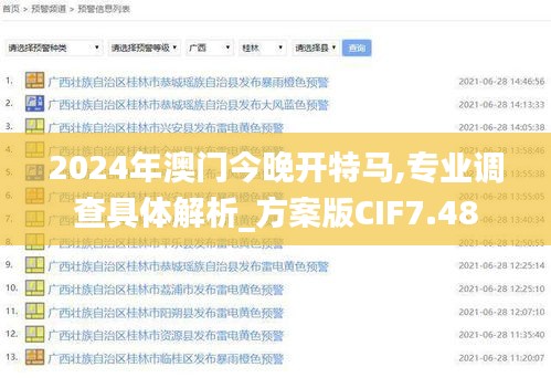 2024年澳门今晚开特马,专业调查具体解析_方案版CIF7.48