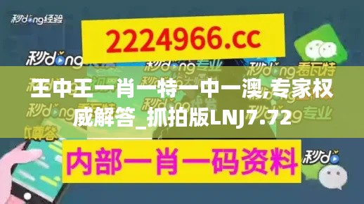 王中王一肖一特一中一澳,专家权威解答_抓拍版LNJ7.72