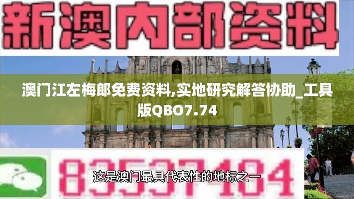 澳门江左梅郎免费资料,实地研究解答协助_工具版QBO7.74