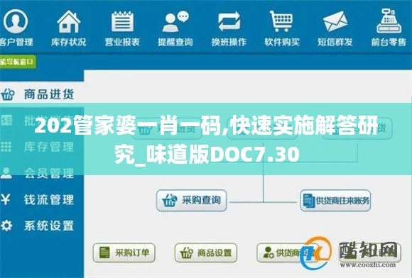 202管家婆一肖一码,快速实施解答研究_味道版DOC7.30