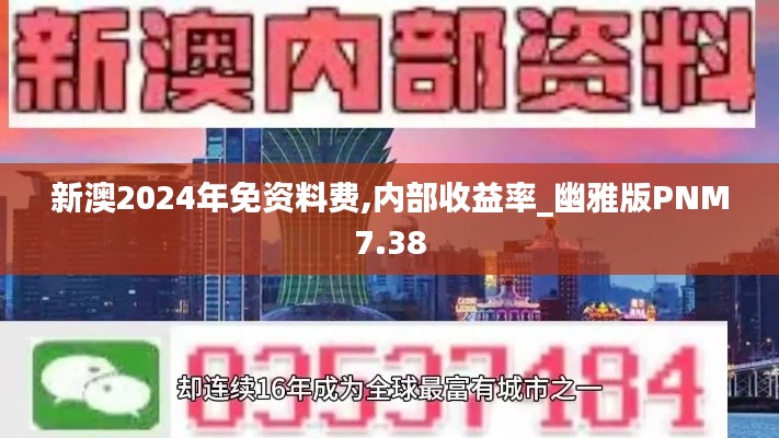 新澳2024年免资料费,内部收益率_幽雅版PNM7.38