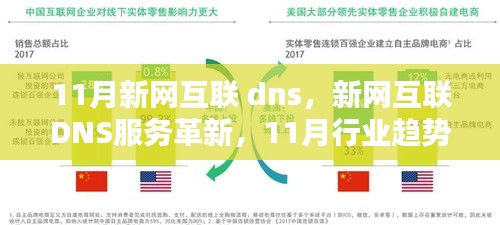 11月新网互联 dns，新网互联DNS服务革新，11月行业趋势下的多维度观点探讨