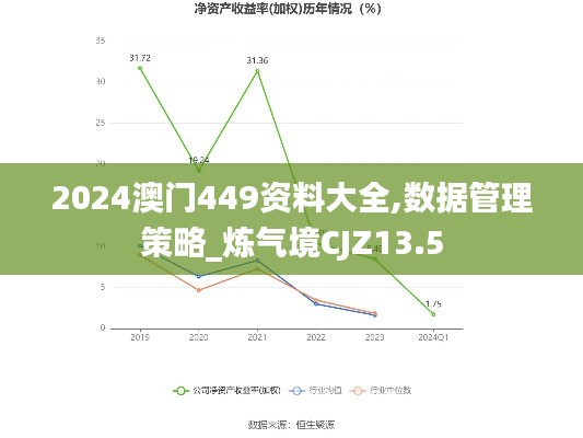 2024澳门449资料大全,数据管理策略_炼气境CJZ13.5