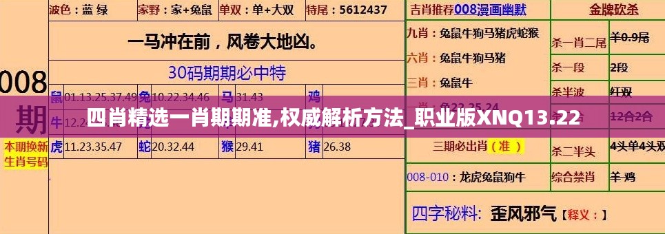 四肖精选一肖期期准,权威解析方法_职业版XNQ13.22