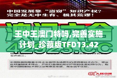 王中王澳门特吗,完善实施计划_珍藏版TFD13.42