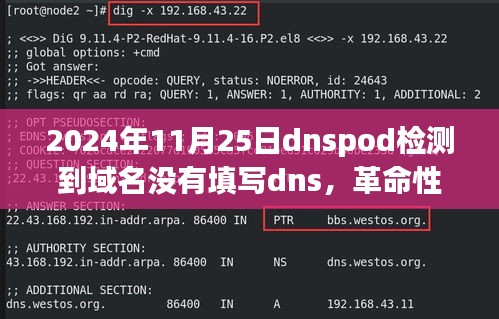 DNSPod智能域名管理，一键检测DNS设置，轻松驾驭智能生活新纪元