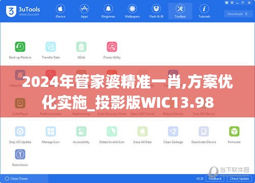 2024年管家婆精准一肖,方案优化实施_投影版WIC13.98