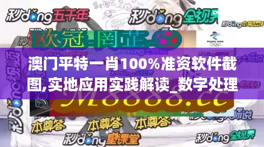 澳门平特一肖100%准资软件截图,实地应用实践解读_数字处理版BEN13.25