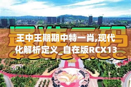 王中王期期中特一肖,现代化解析定义_自在版RCX13.22