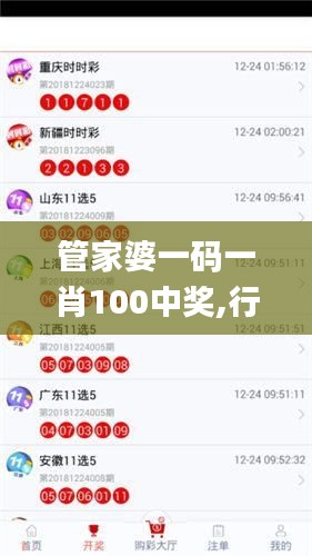 管家婆一码一肖100中奖,行动规划执行_游戏版RMU13.64