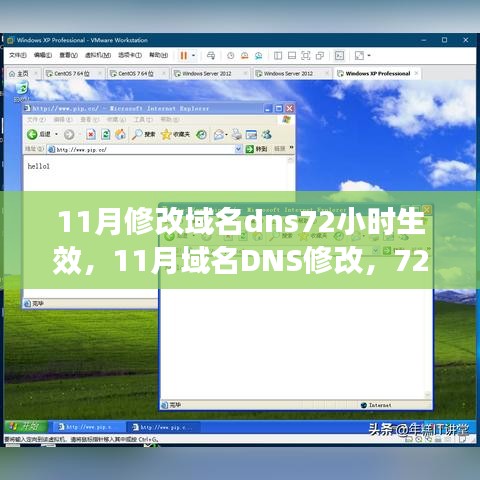 11月修改域名dns72小时生效，11月域名DNS修改，72小时生效，全面解读与实操指南