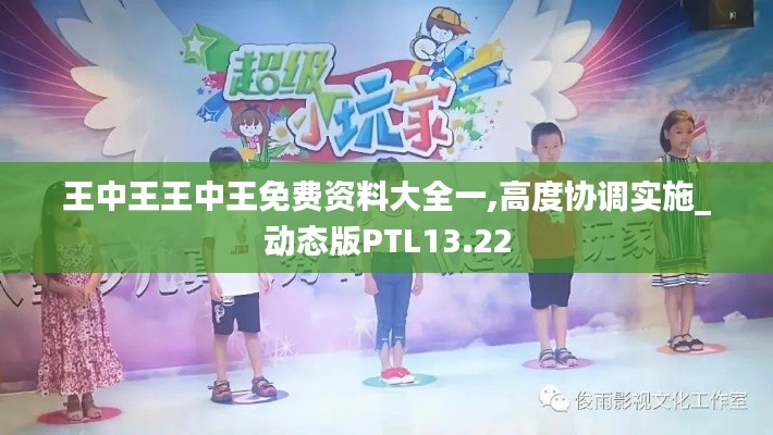 王中王王中王免费资料大全一,高度协调实施_动态版PTL13.22