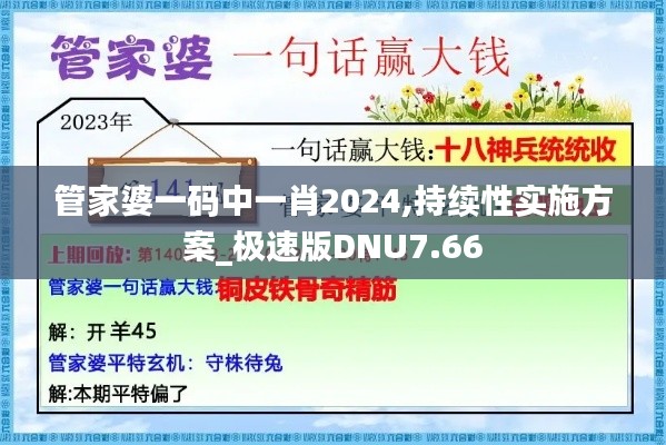 管家婆一码中一肖2024,持续性实施方案_极速版DNU7.66