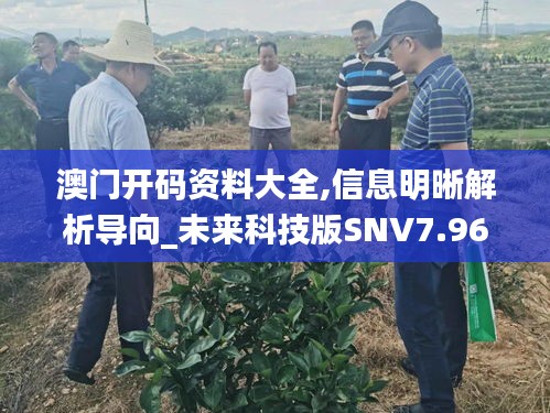 澳门开码资料大全,信息明晰解析导向_未来科技版SNV7.96