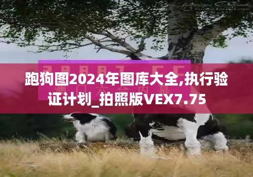 跑狗图2024年图库大全,执行验证计划_拍照版VEX7.75