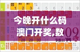 今晚开什么码澳门开奖,数据整合解析计划_流线型版EEA7.48