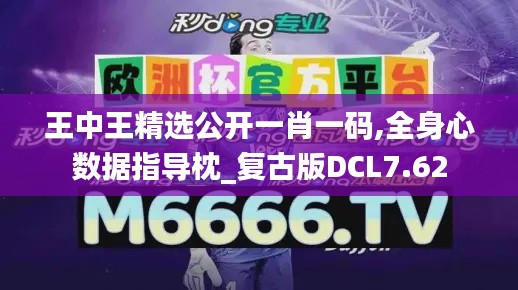 王中王精选公开一肖一码,全身心数据指导枕_复古版DCL7.62