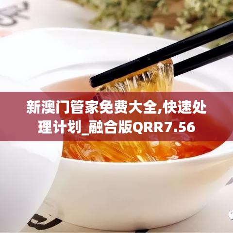 新澳门管家免费大全,快速处理计划_融合版QRR7.56