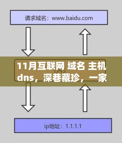 特色小店背后的互联网域名与DNS故事，揭秘深巷藏珍的域名主机DNS之旅