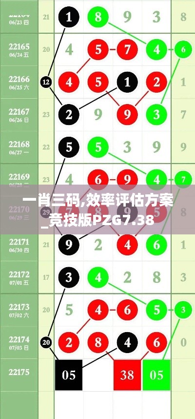 一肖三码,效率评估方案_竞技版PZG7.38