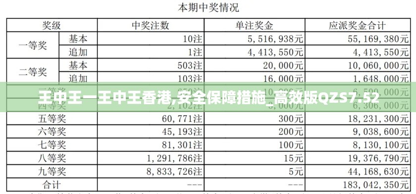 王中王一王中王香港,安全保障措施_高效版QZS7.52