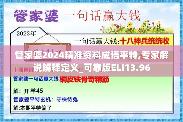 管家婆2024精准资料成语平特,专家解说解释定义_可靠版ELI13.96