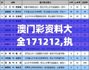 澳门彩资料大全171212,执行验证计划_互联版NAN13.52