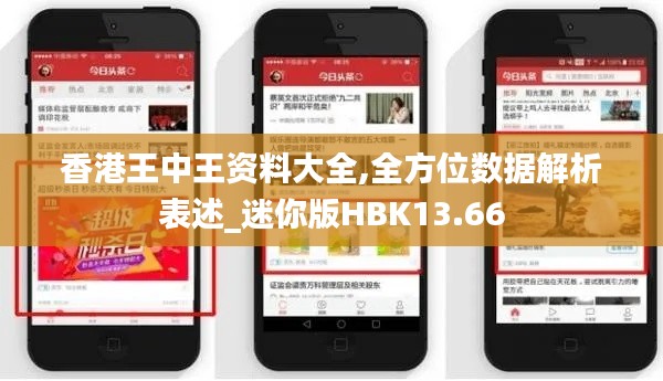 香港王中王资料大全,全方位数据解析表述_迷你版HBK13.66