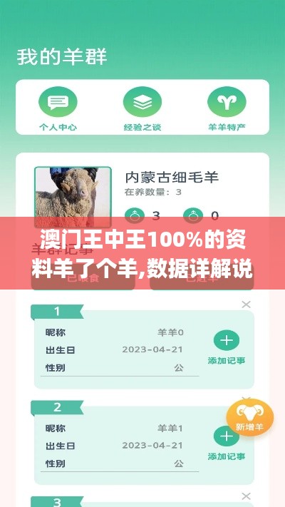 澳门王中王100%的资料羊了个羊,数据详解说明_同步版YBL13.73