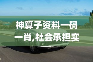 神算子资料一码一肖,社会承担实践战略_精致版ASX13.55