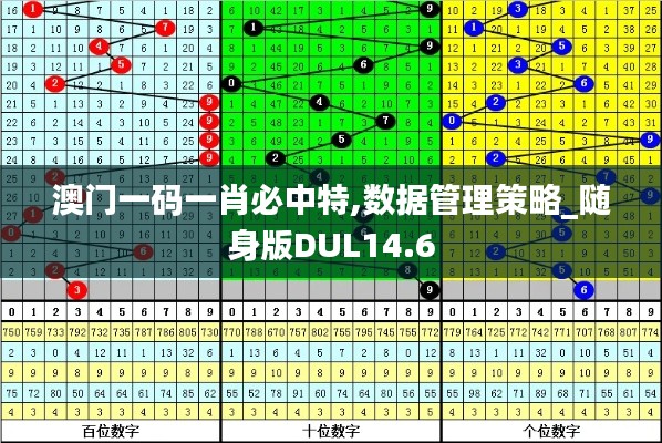 澳门一码一肖必中特,数据管理策略_随身版DUL14.6