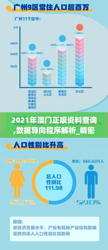 2021年澳门正版资料查询,数据导向程序解析_精密版ALX5.13