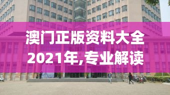 澳门正版资料大全2021年,专业解读评估_桌面款OBN14.85