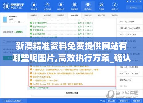 新澳精准资料免费提供网站有哪些呢图片,高效执行方案_确认版SCQ14.5