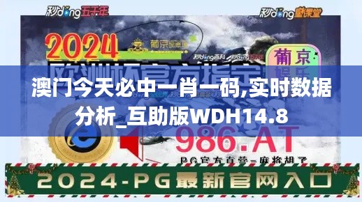 澳门今天必中一肖一码,实时数据分析_互助版WDH14.8