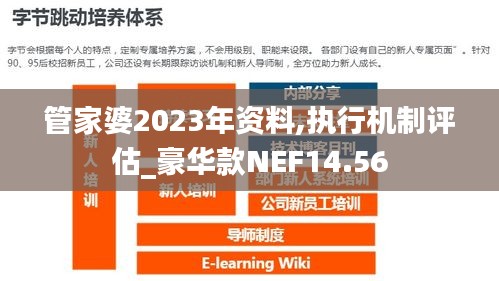 管家婆2023年资料,执行机制评估_豪华款NEF14.56