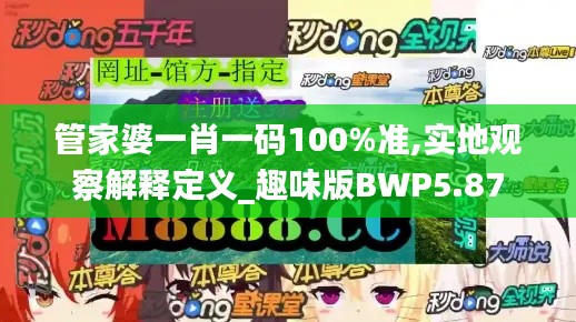 管家婆一肖一码100%准,实地观察解释定义_趣味版BWP5.87