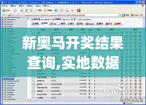 新奥马开奖结果查询,实地数据验证_高级版EPH5.6