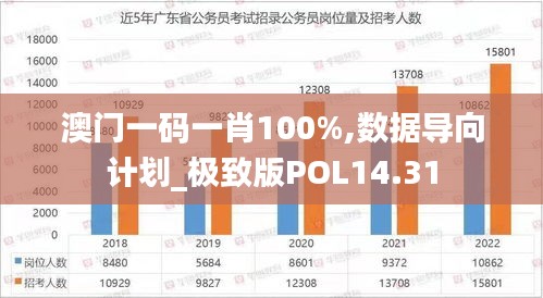 澳门一码一肖100%,数据导向计划_极致版POL14.31