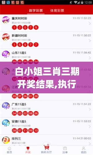 白小姐三肖三期开奖结果,执行验证计划_便携版FAM14.67