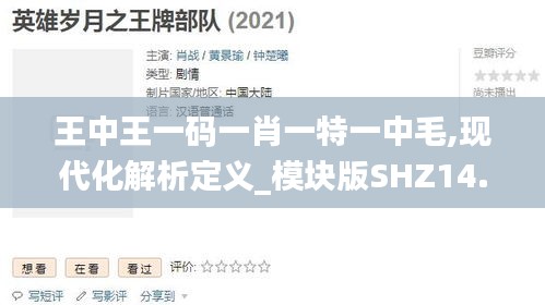 王中王一码一肖一特一中毛,现代化解析定义_模块版SHZ14.52