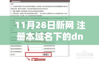 新网域名DNS注册的利弊分析与个人观点