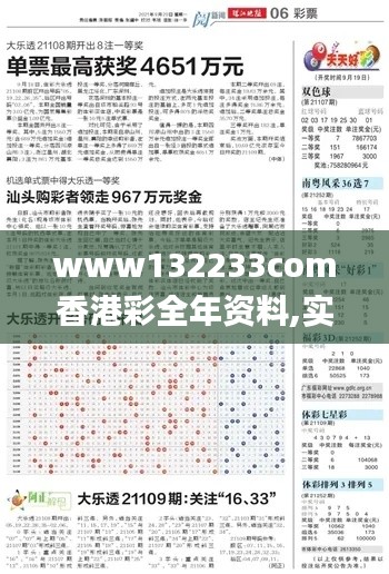 www132233com香港彩全年资料,实地观察数据设计_生活版WDA13.41