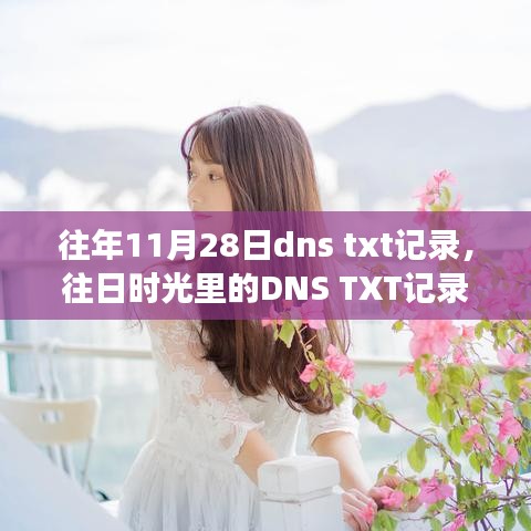 温馨的友情之旅，往日时光里的DNS TXT记录回顾与纪念