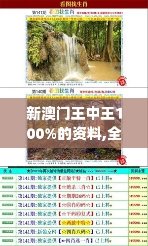 新澳门王中王100%的资料,全面设计实施_共鸣版RYP13.92